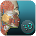 人体解剖学图集app