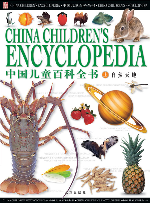 中国儿童百科全书 pdf高清全彩版