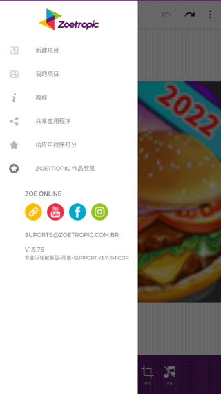 zoetropic中文版手机版