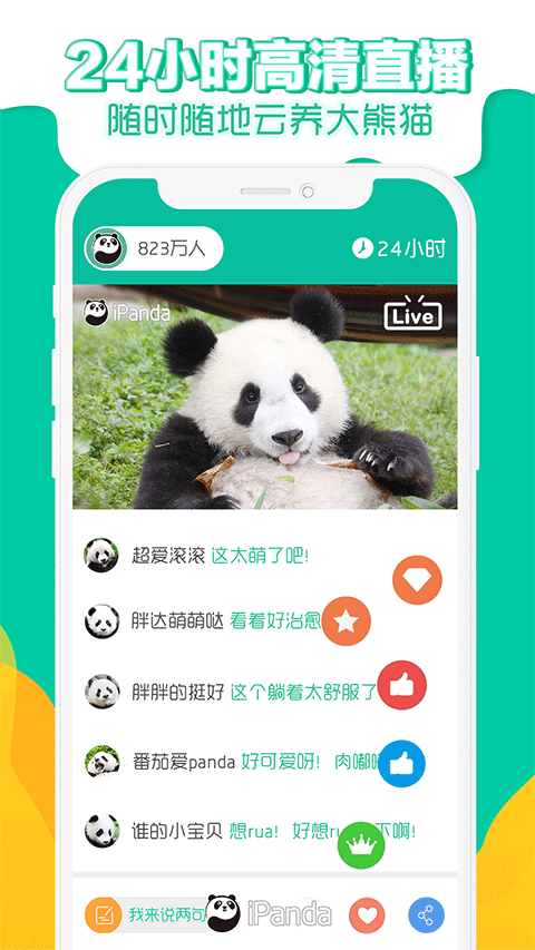 ipand熊猫频道app